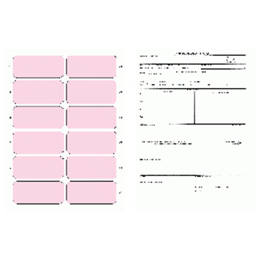 2400 ECG Mount Sheet with Dual-Column Layout