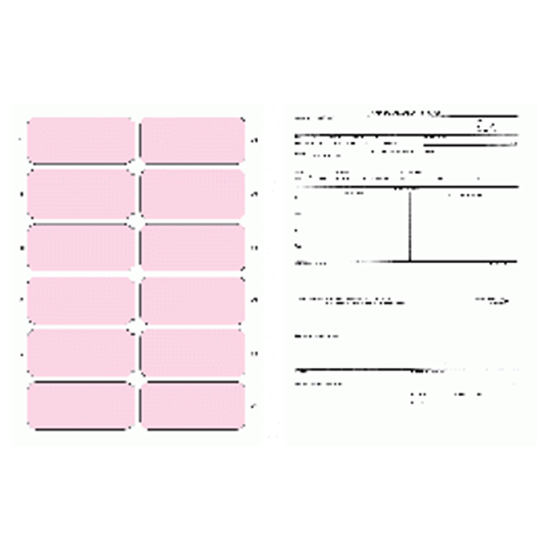 2400 ECG Mount Sheet with Dual-Column Layout