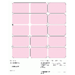 2441 ECG Mount Sheet with Split Lead Boxes and Vertical Labels