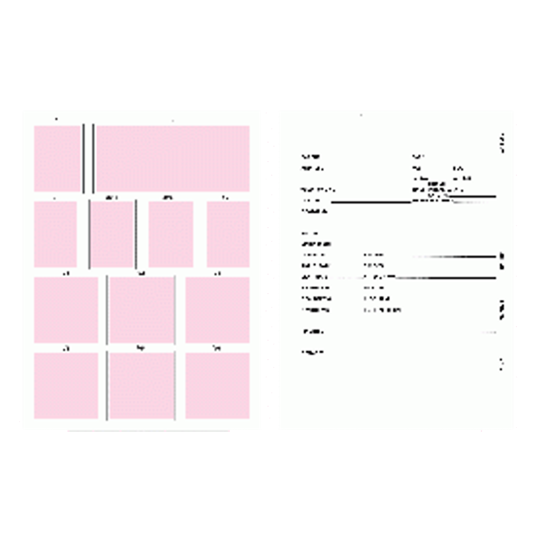 63-64 Portrait Mount Sheet