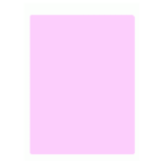 7938 ECG Mount Sheet with Top Margin